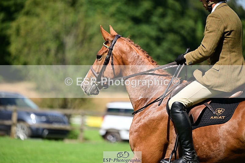 260808A-113556-01992 - 911-Nick.Gauntlett-I.Am.Arthur