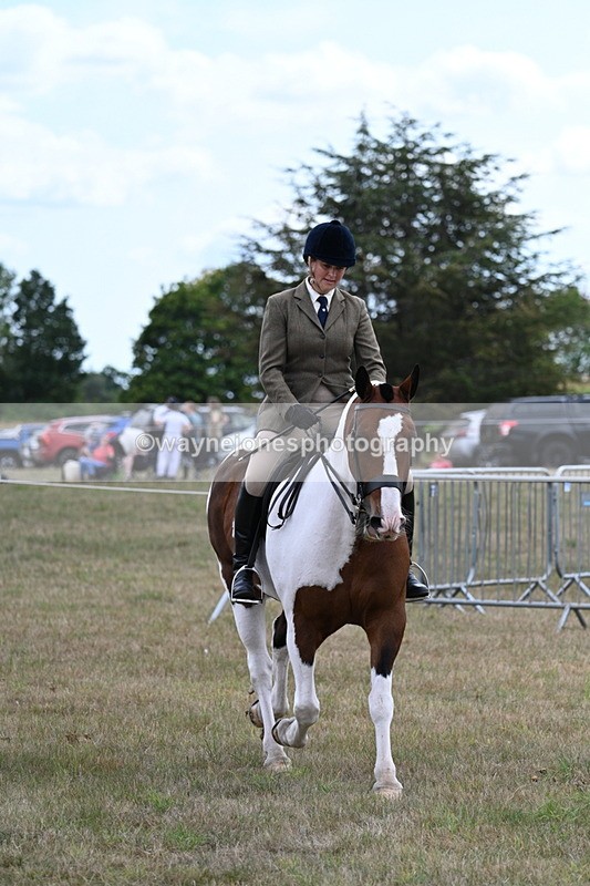 WJ7_5183 - Class 12 Ridden Cob