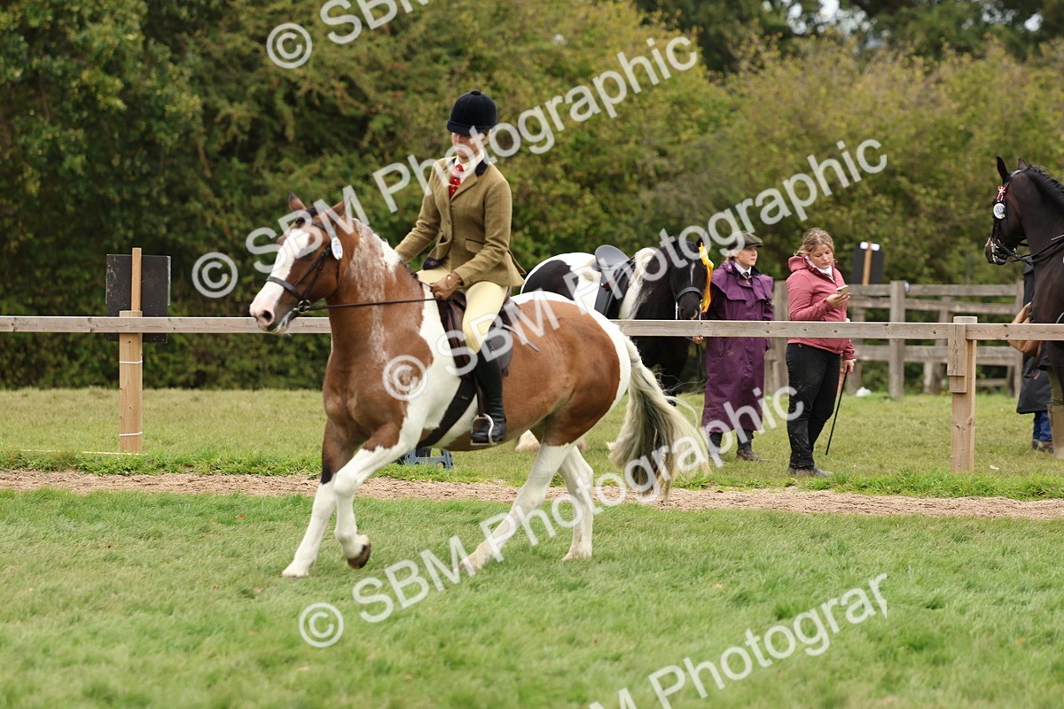 SBM_65210 - S59 - Part Bred Arab & Native Pony Ridden