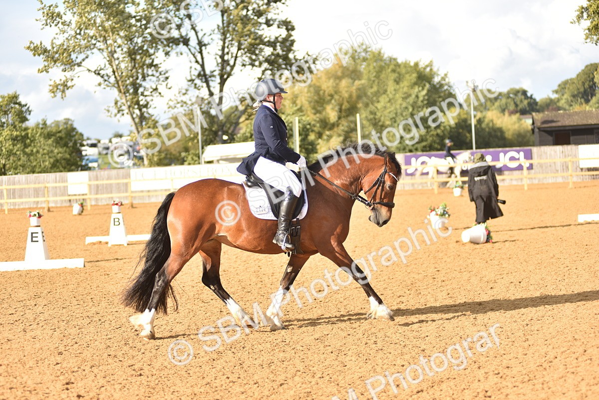 SBM_29663 - D16 -Small Tour Championship Novice 2