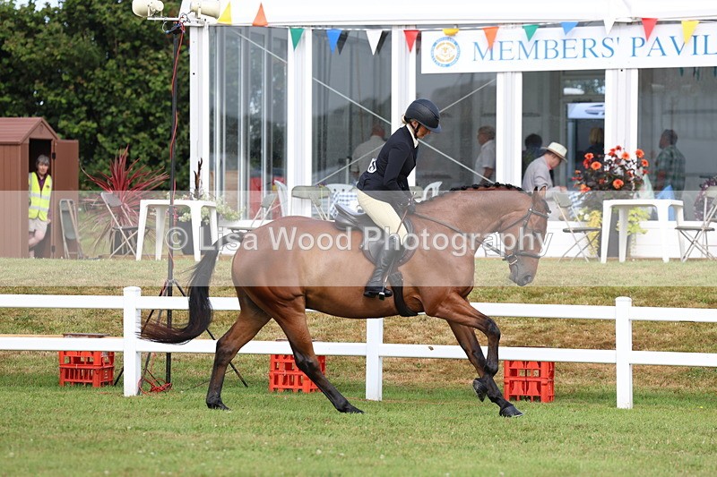 3E7A8136 - Class 2: Rising Star Large Hack/Riding Horse