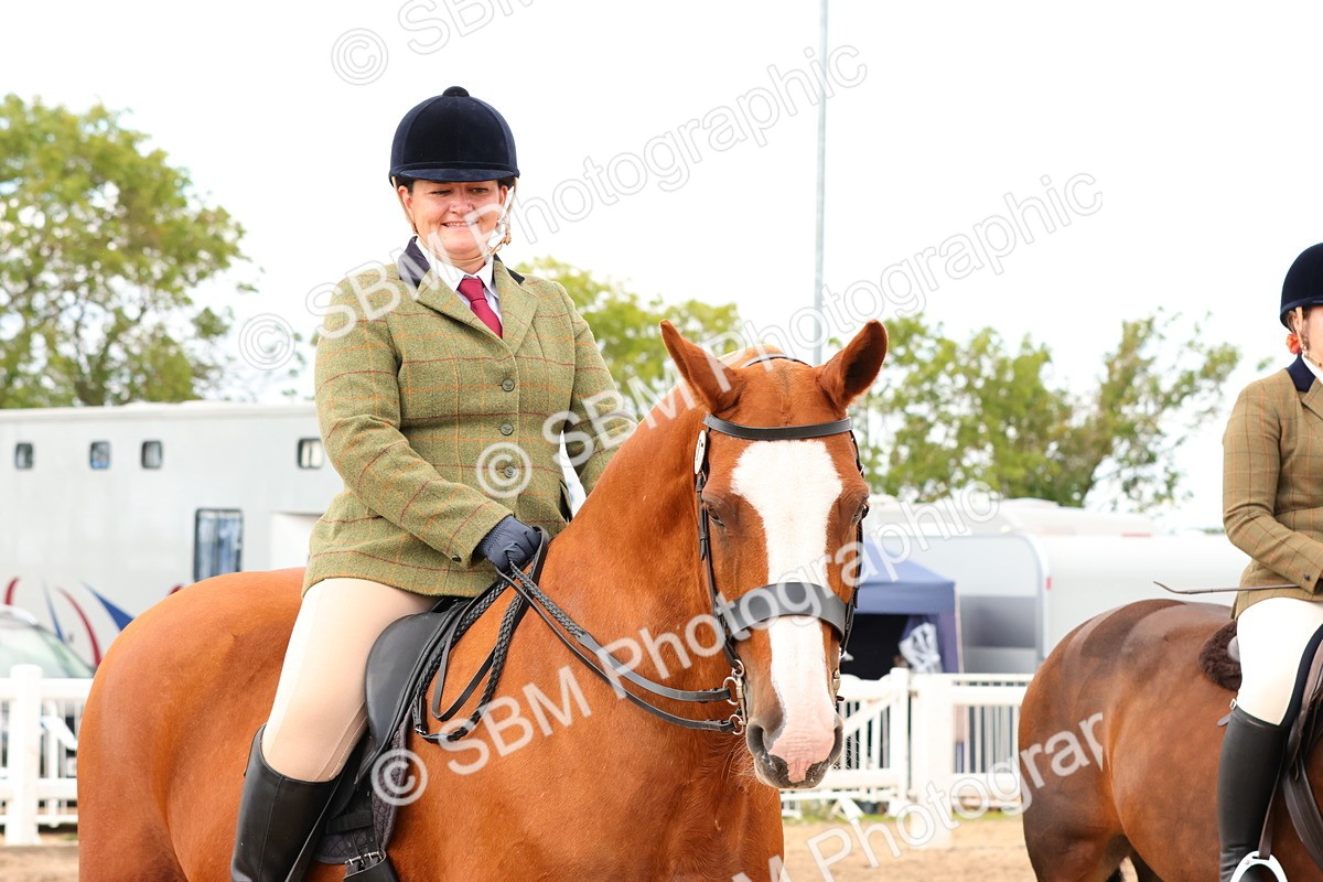 SBM_15524 - Class 214 - Ridden Show Cob
