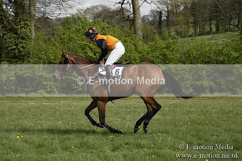 PtP 170417 259 - Old Berks Point-to-Point Lockinge 17/04/17