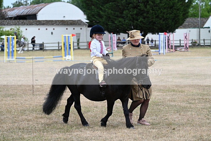 WJ7_8510 - Class 4 Prettiest Mare up to 14.2hh