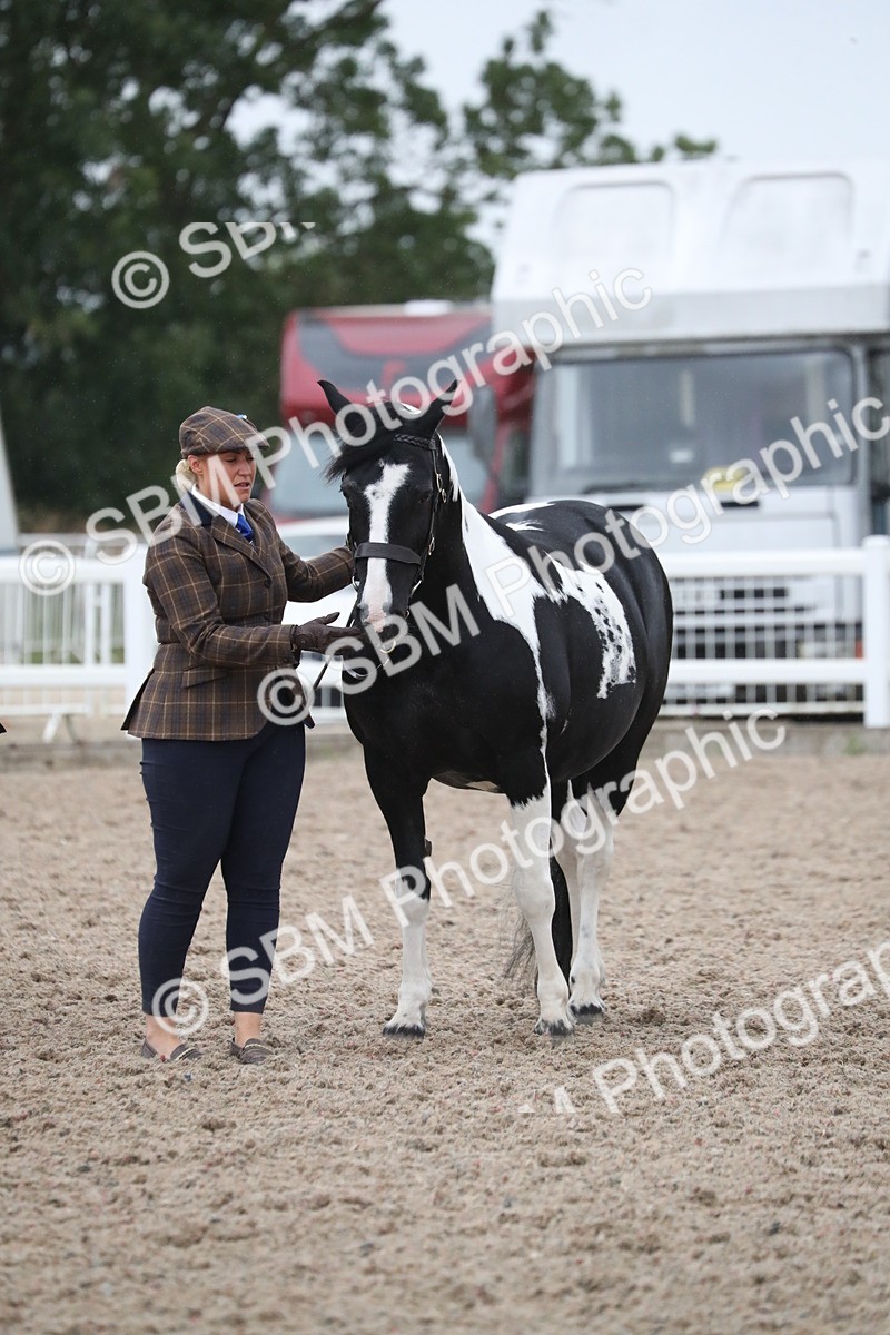 SBM_18391 - Class 318 IH Part bred Horse/Pony