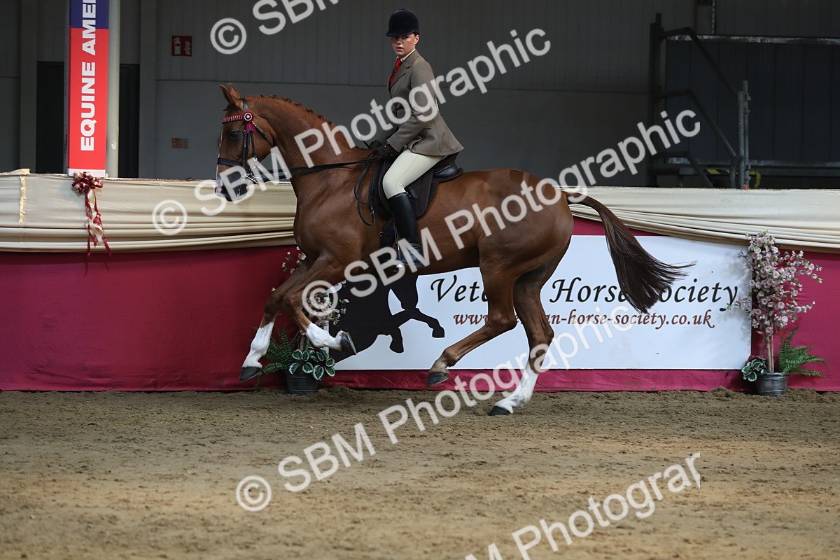 SBM_08358 - Class 11R Regional Ridden Veteran