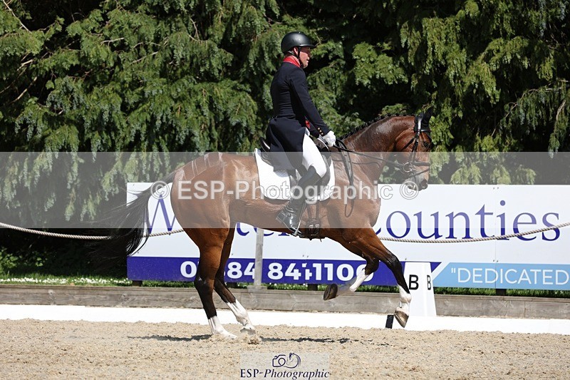 230526-145015-06562 - 375-FINLEY_DU_LOIR-Oliver_Townend-WEDTrotUp+DR