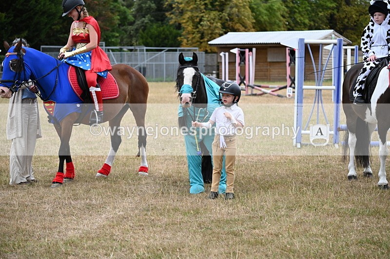 WJ6_9082 - Class 11 Fancy Dress