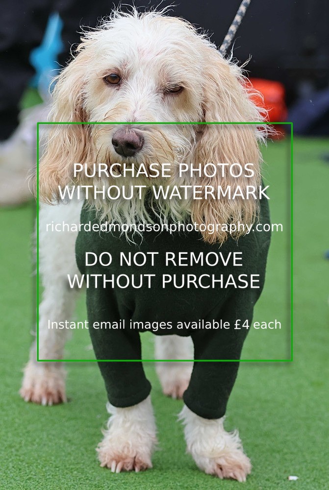 533A1499 - Ambleside Hockey vs Keswick Hockey (20/9/25)