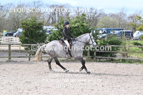 BPP_7604 - RING 1  (RIDDEN HORSES / IN HAND / VETERAN ETC)