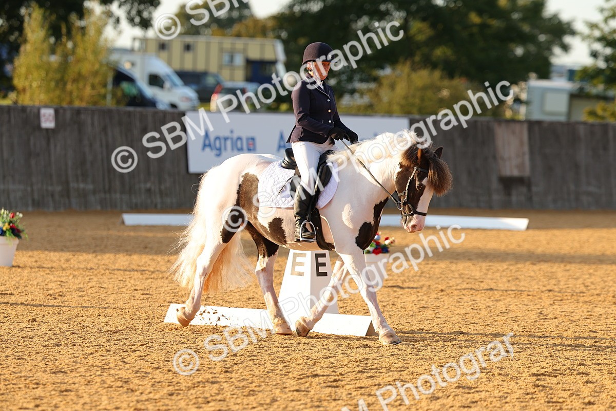 SBM_54559 - D12 - Small Tour Championship - Prelim 18