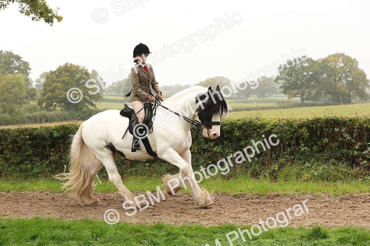 SBM_72711 - S70 - Traditional Cob Ridden