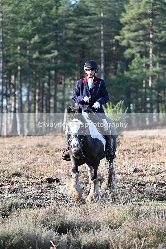 WJ7_7294 - Line 3 (no line 4 or 5)