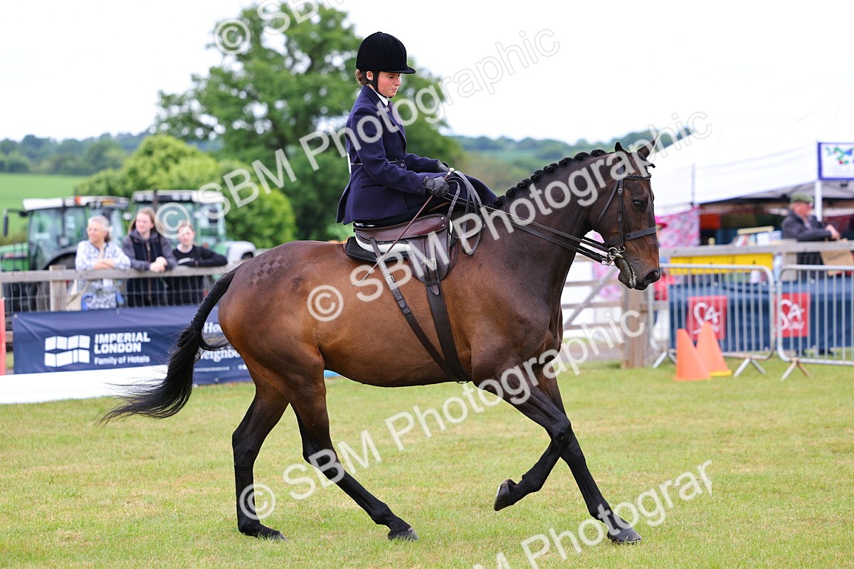 SBM_02721 - Class 9-11 Side Saddle including LIHS Rising Star Ladies Show Horse
