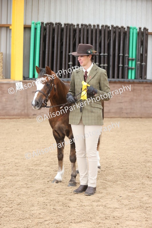 20251109-0686 - Class 22 - Geldings 4 Years and over