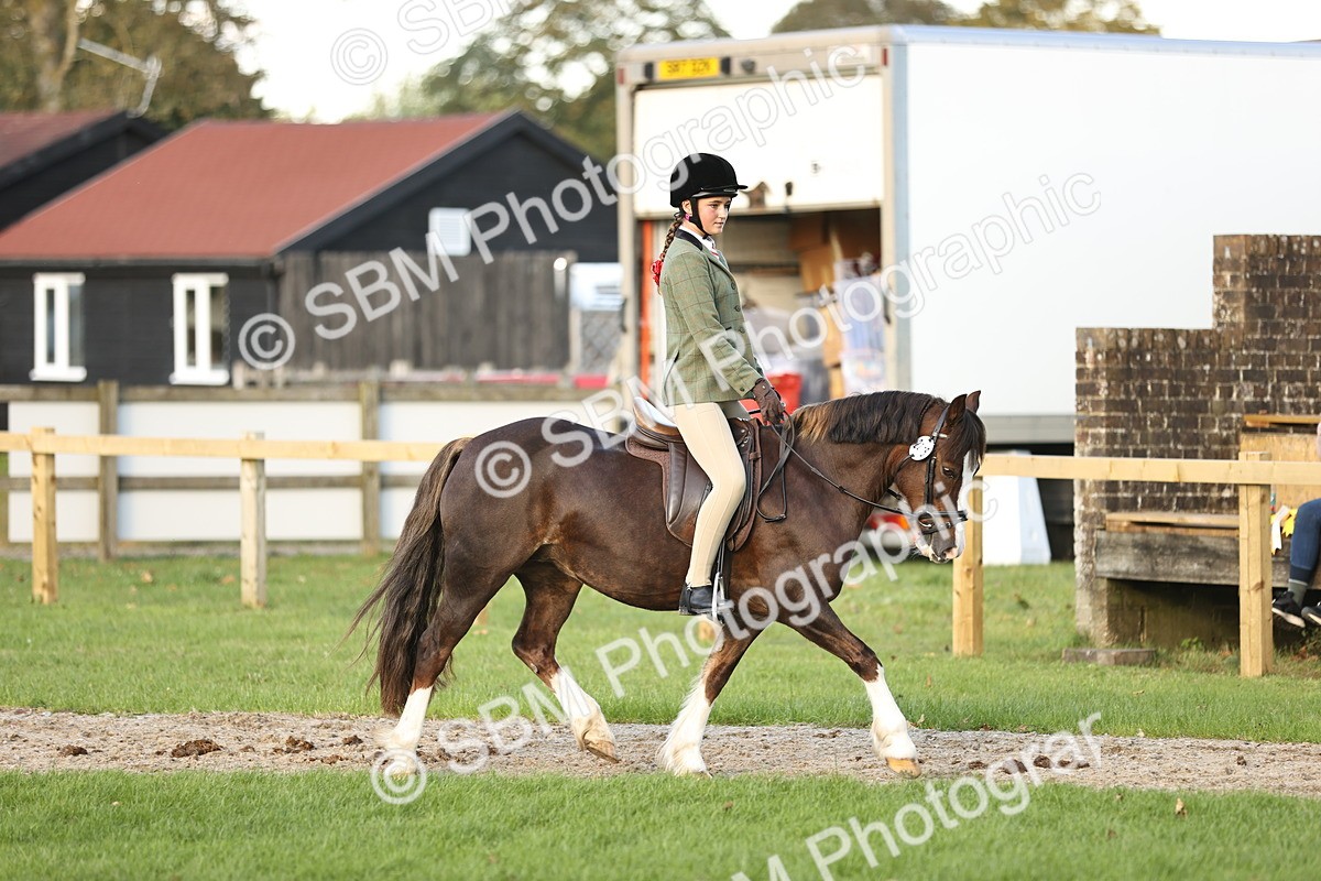 SBM_29544 - S7 - Novice & Newcomers Ridden Pony