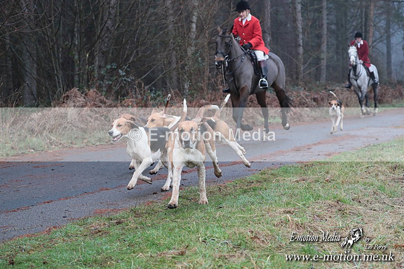 HUPY 261224 364 - Pytchley with Woodland Hunt Boxing Day Meet 26th December 2024