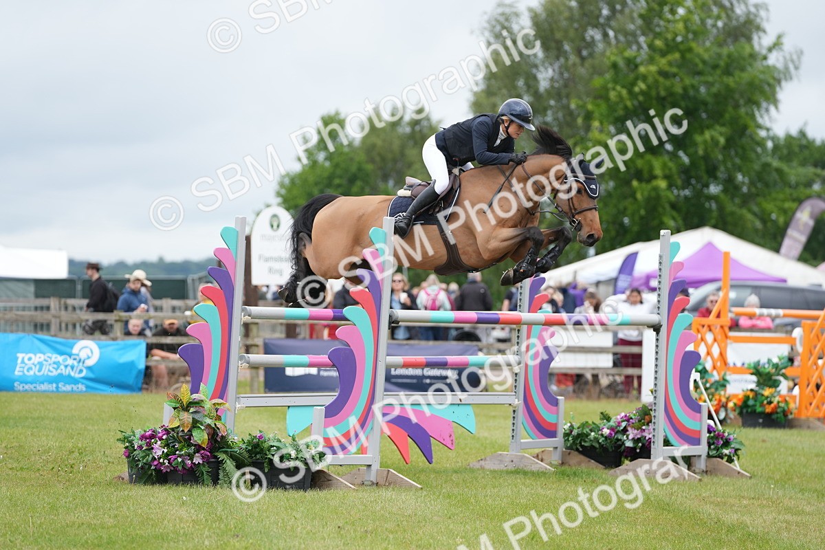 SBM_03378 - Class 201 - British Horse Feeds Speedi Beet Horse of the Year Show Grade  C