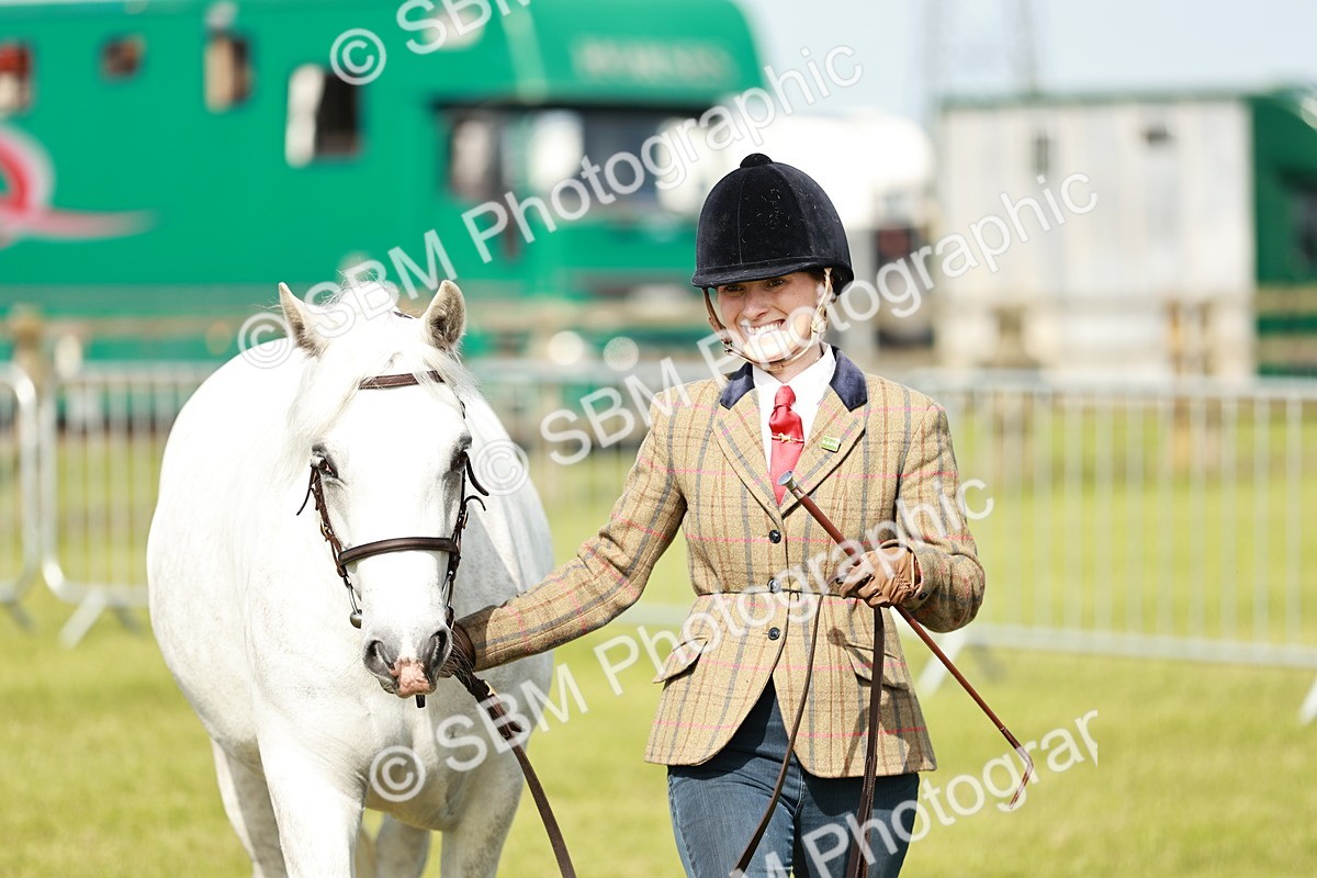 SBM_01629 - Class 14-23 - Mountain & Moorland In Hand Non Welsh