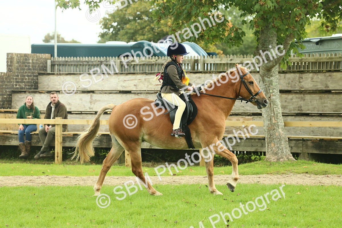 SBM_62571 - S62 - Foreign Breeds Ridden