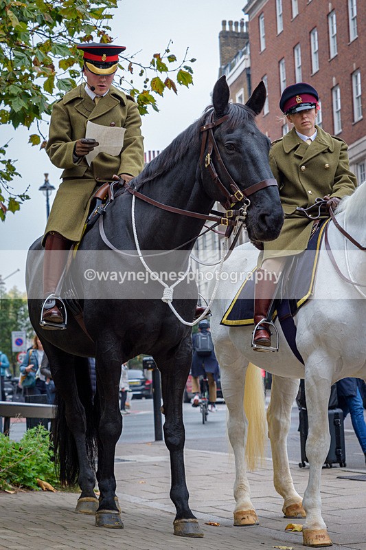 NGP_8195 - 2024 Animals in War Remembrance Gathering