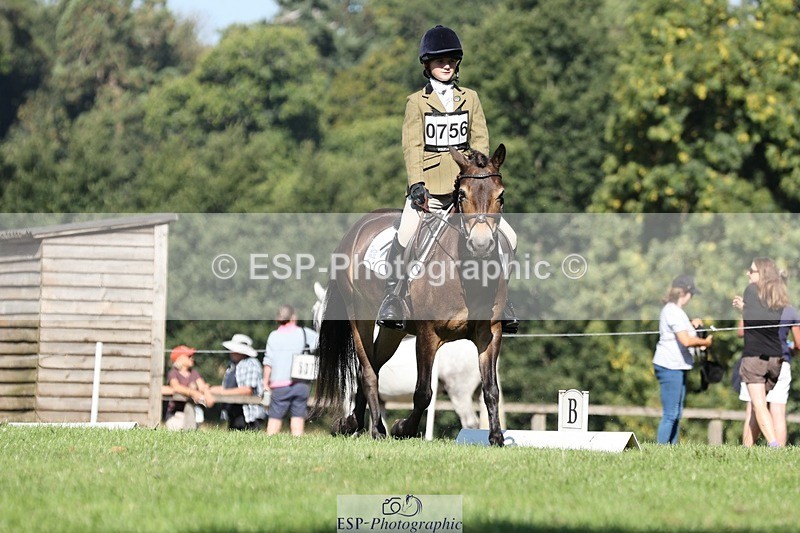 250823A-102953-27710 - Arena D