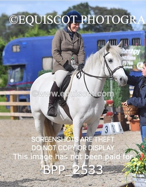 BPP_2533 - DERBY CLASS 7 - 80CM