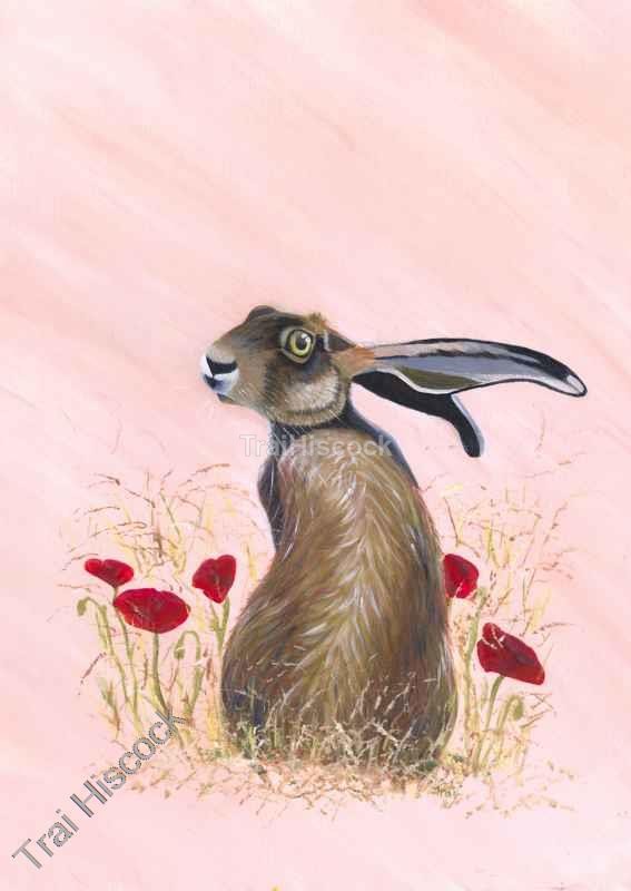 Poppy Hare - Wildlife