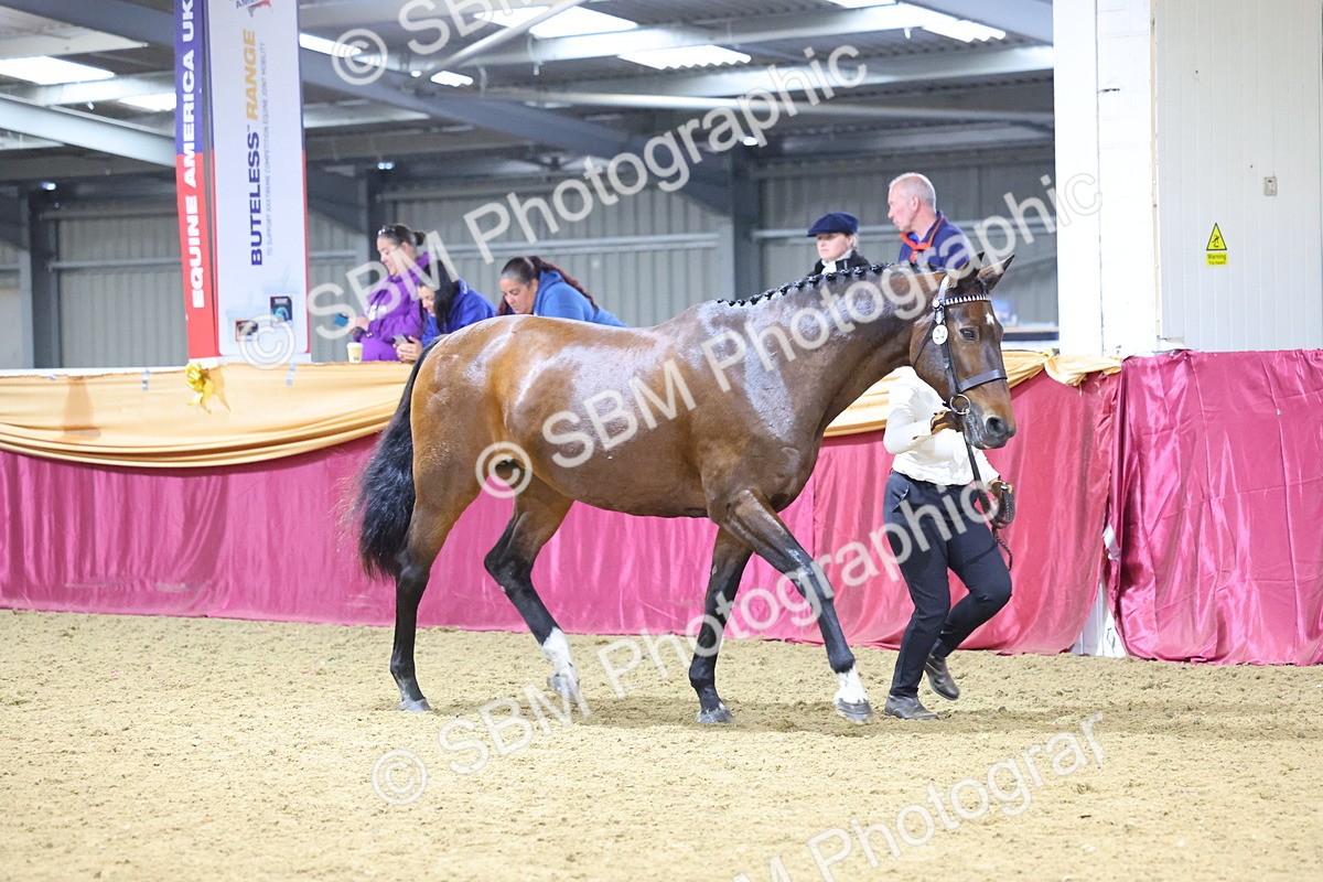 SBM_21008 - Class 902 - Supreme Final IH Veteran