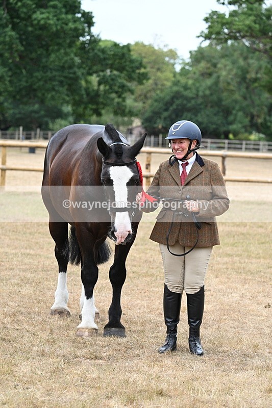WJ7_0194 - Class 5a Most Handsome Gelding (above 14.2hh)