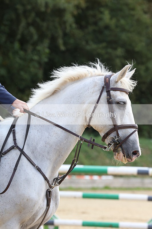 3E7A1813 - Class 9: Senior Foxhunter/1.20 open