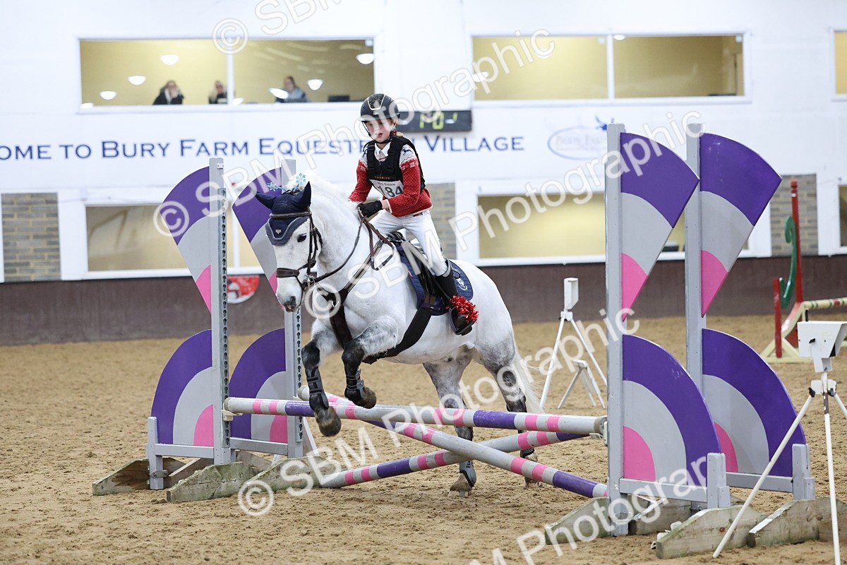 SBM_001191 - Class 3 - Christmas Tree Stakes - 60cm