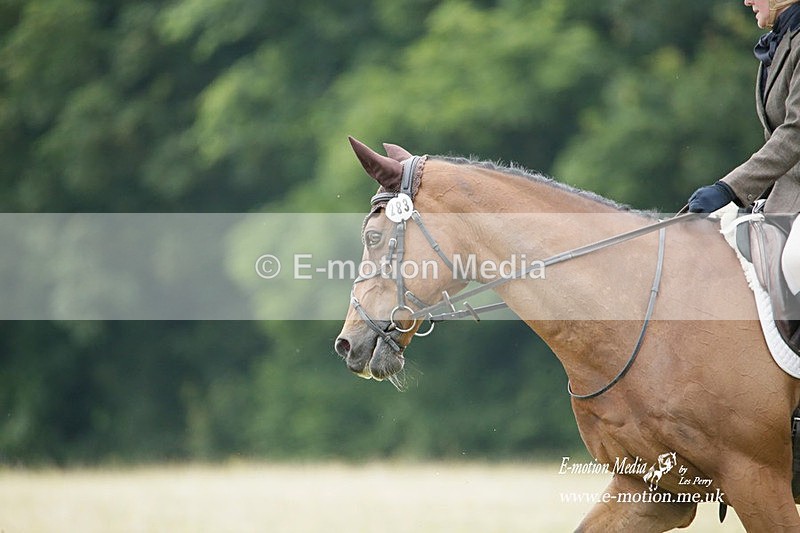 BVRC 030721 119 - Bourne Valley Riding Club Dressage 03/07/21