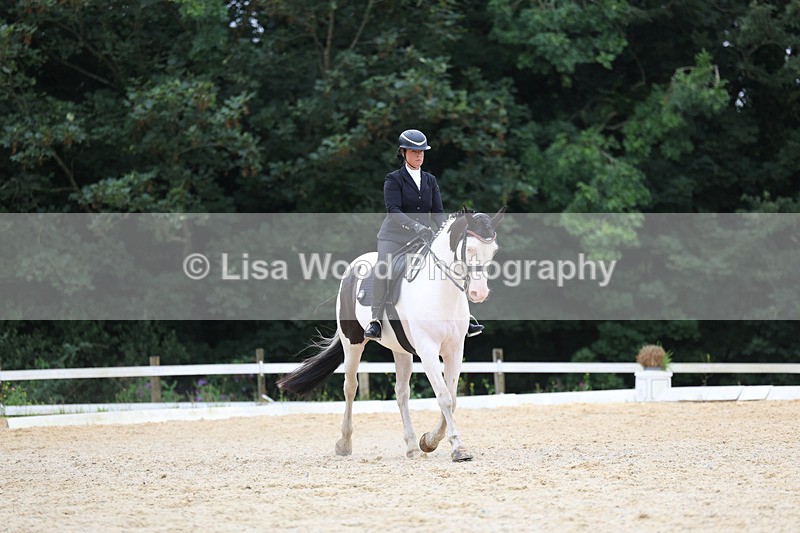 3E7A7333 - Class 9: Elementary 4 2024 - No sections