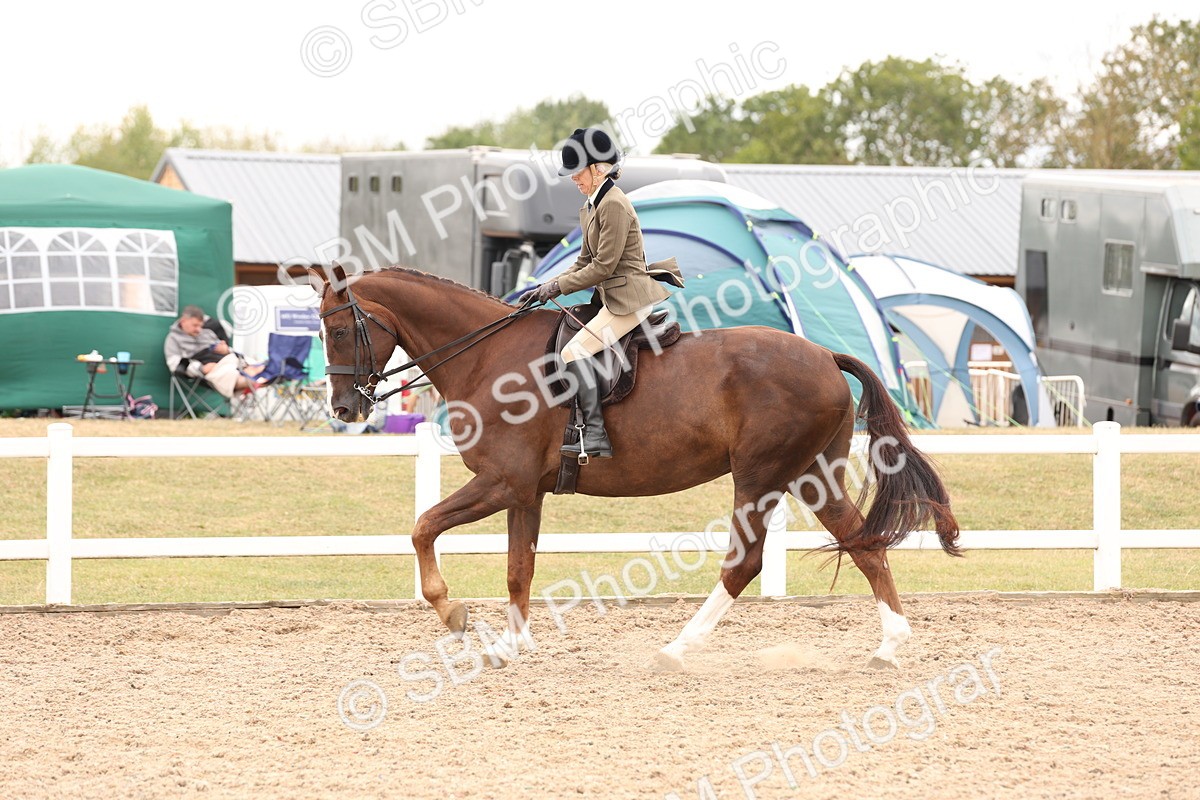 SBM_17240 - Class 213 - Ridden Hunter - Large