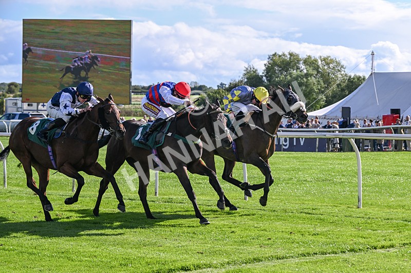 080926-Race 4-Kings Merchant-2517 - Race 4 3.36pm Fifth Regiment Royal Artillery Handicap (Div II)