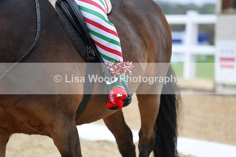 3E7A3673 - Class 2: Intro Section B