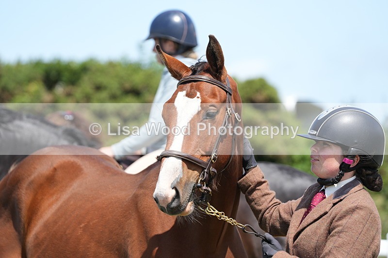 DSC06278 - Class 54: Hunter/Riding Horse/Hack 1 & 2 yr olds