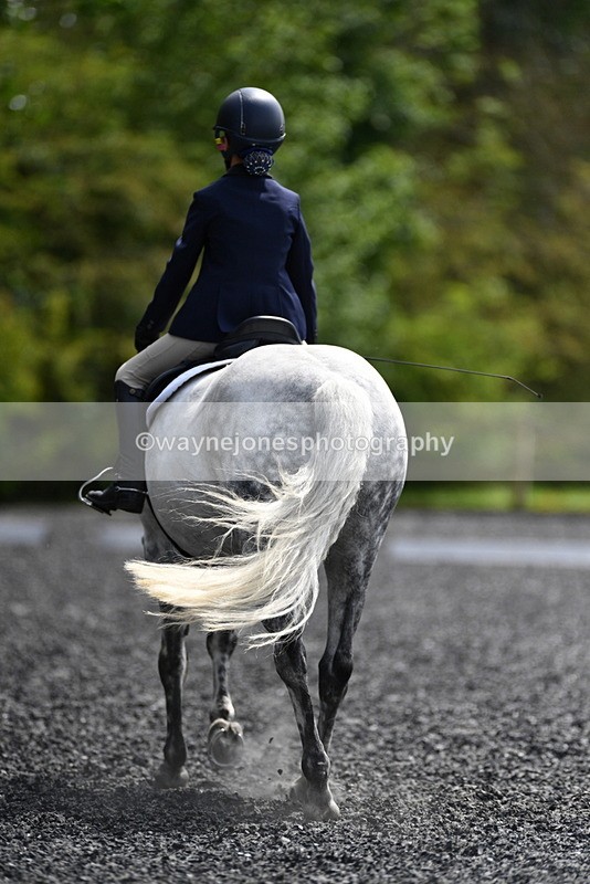 WJ5_1567 - Time 14:20 to 15:01