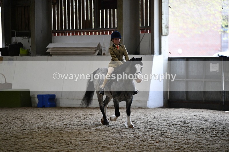WJ5_6872 - Class 10 Childs Pony
