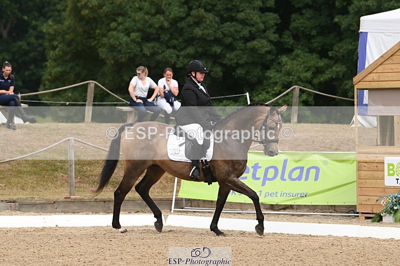 250719A-104353-04002 - 127-Jocelyn.Gilmore-Spring.Lily