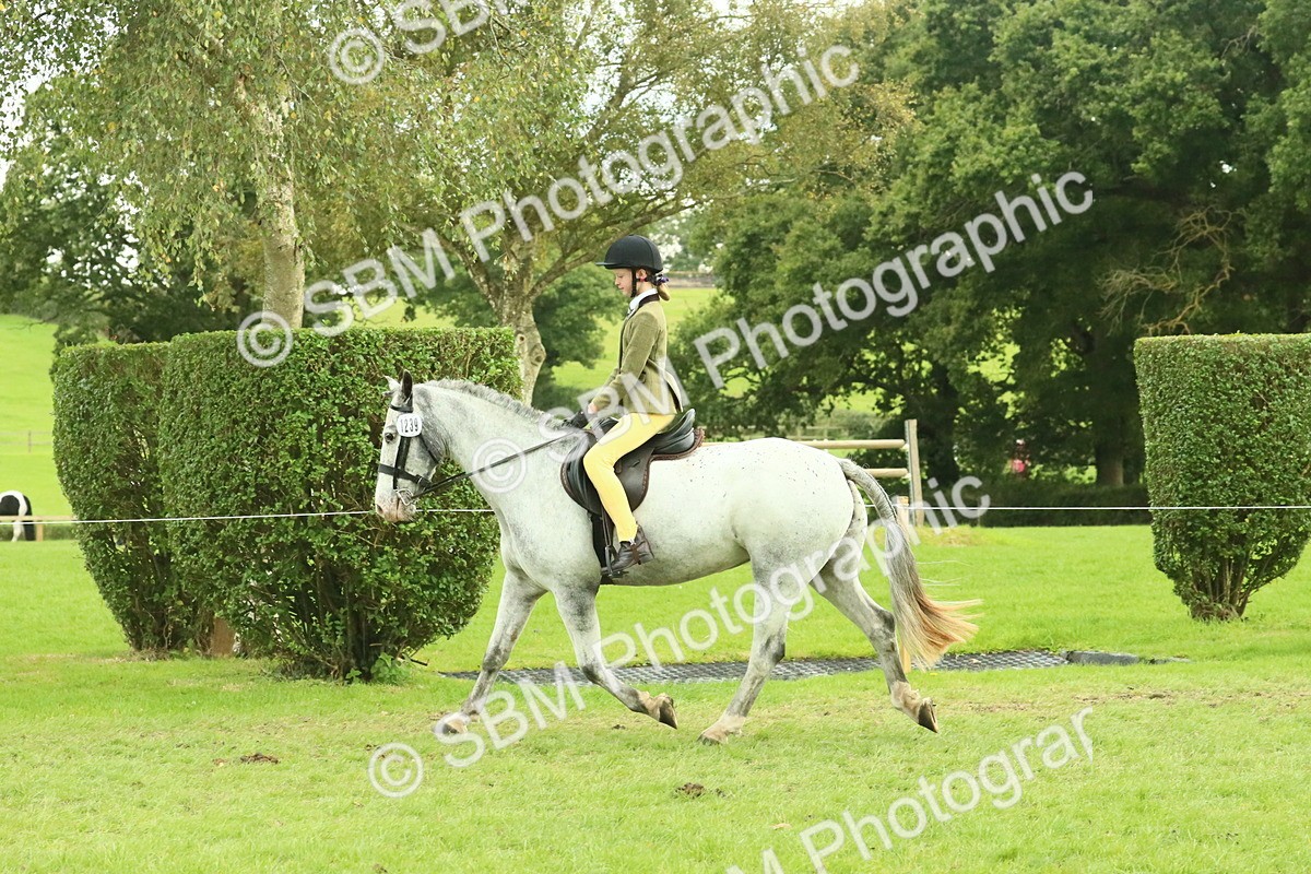 SBM_74045 - S 61 - Show Pony & Show Hunter Pony Ridden