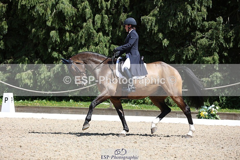 230526-135337-06414 - 369-GIDO_G-Sally_Chamberlain-WEDTrotUp+DR