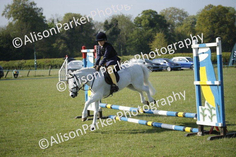 20250427-0295 - Class 12 - Rookie Jumping 40cm
