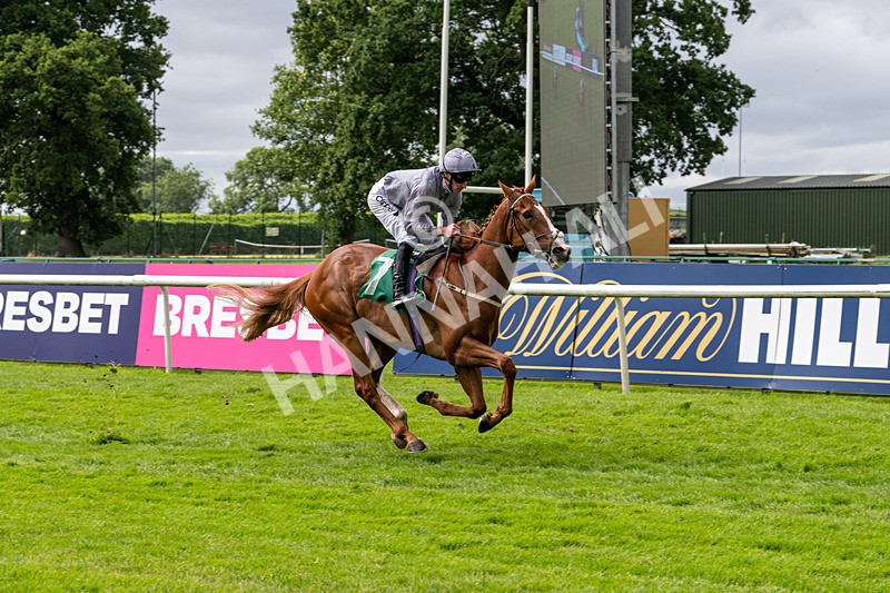 030724-Race 3-Thunder Run-0653 - Race 3