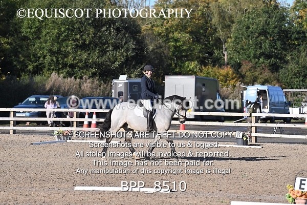 BPP_8510 - SHORT ARENA INTRO 1