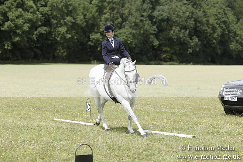 BVR160717-2057 - Class 4 & 5 Dressage 16/07/17