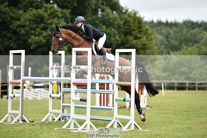 260704A-101142-12677 - Cls 41 Snr Fox inc 6 Year Old