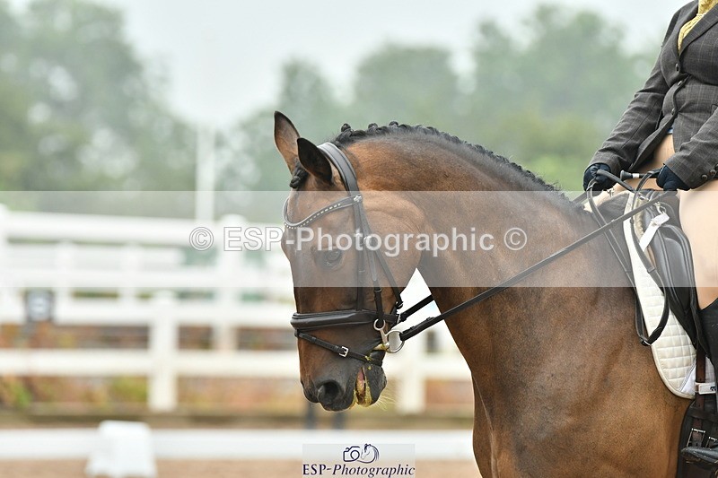 230708A-143952-02956 - Elementary 43