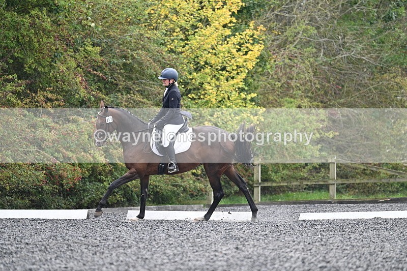 WJ7_3855 - Time 11:04 to 11:38